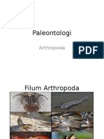 Filum Arthropoda