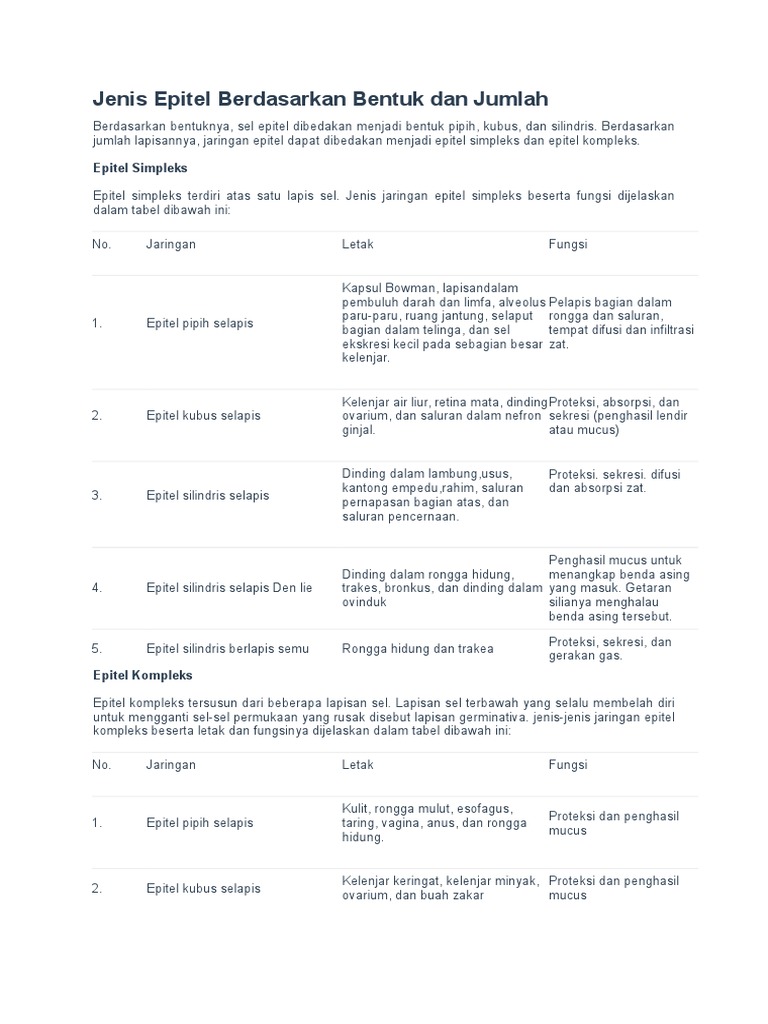 Jaringan Epitel Selapis