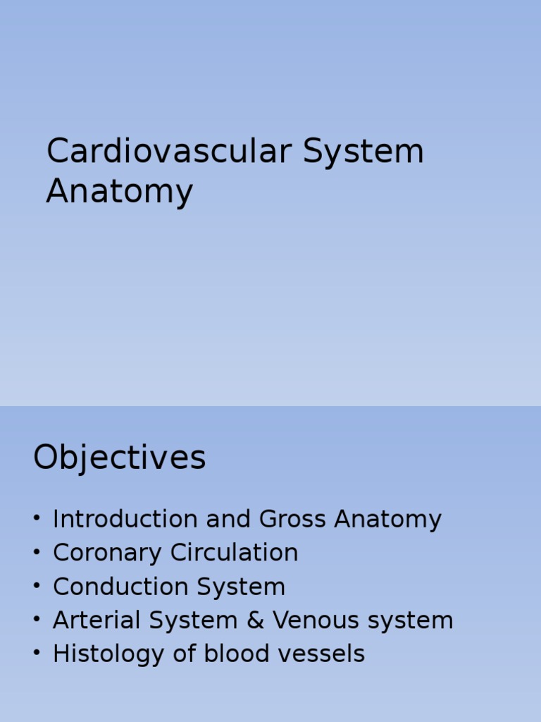 Overview of Cardiovascular System Anatomy | PDF | Heart Valve | Atrium ...