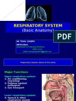 Respiratorysystemanatomy DR 141112123534 Conversion Gate01