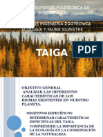 Taiga