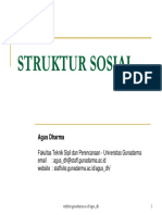 Struktur Sosial (Presentation)