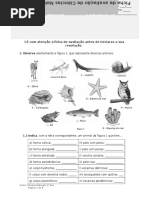 FichaAvaliacao Animais MC7 8 Texto