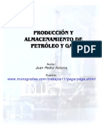 Produccion y Almacenamiento de Petroleo y Gas
