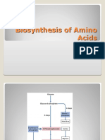 Biosynthesis of Amino Acids Pathways