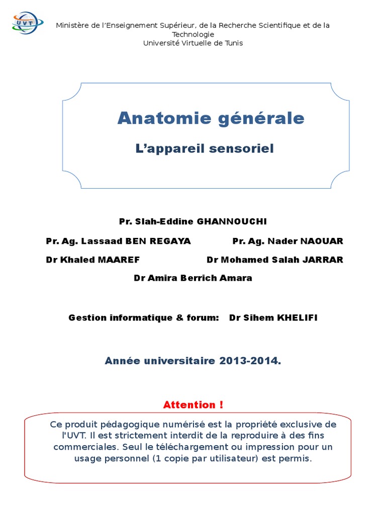 Anatomie de l'Appareil Sensoriel | PDF | Système vestibulaire | Sens ...