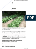 TMP 306-Growing Potatoes - Bonnie Plants387713844