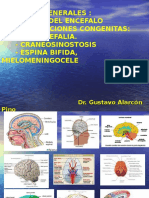 Nociones de Anatomía Del Encefalo y Malformaciones Congenitas 2014