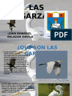 GARZAS