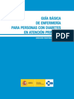 2009 Guia_Basica_Enfermeria_Diabetes.pdf