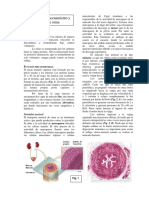 2010_Renal_Miccion.pdf