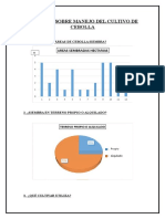 Informe Ajo y Cebolla