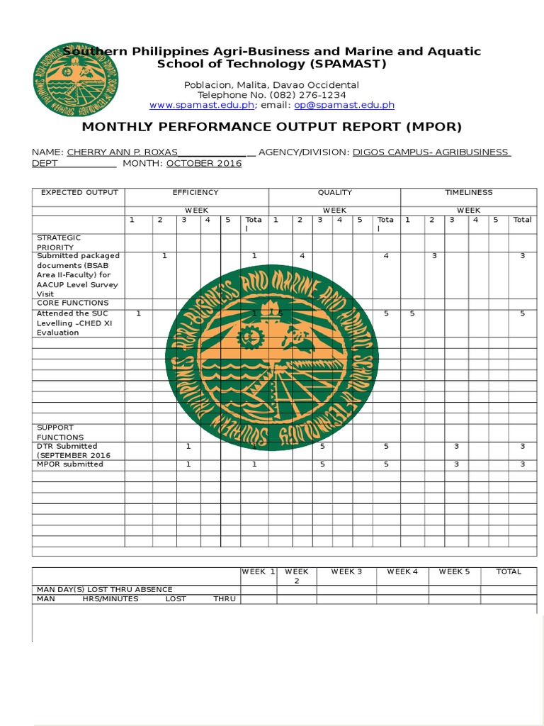 Monthly Performance Output Report | PDF