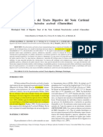6.- Estudio Histológico Del Tracto Digestivo Del Neón Cardenal