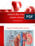 Sem 7 Sistem Urinaria