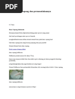 Download Tentang Ikan Cupang Dan by Lufi Karisma Rahmawati SN332496548 doc pdf