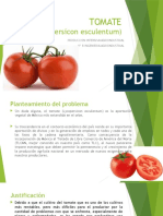 Tomate 2