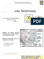 Lesiones Tendinosas