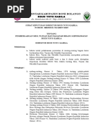 Download Pedoman Pengorganisasian Rumah Sakit Dan Unit Kerja by Uchy Murdhia Rahman SN332500546 doc pdf