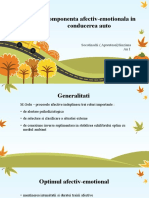 Componenta Afectiv-Emotionala in Conducerea Auto