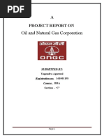 Oil and Natural Gas Corporation: A Project Report On