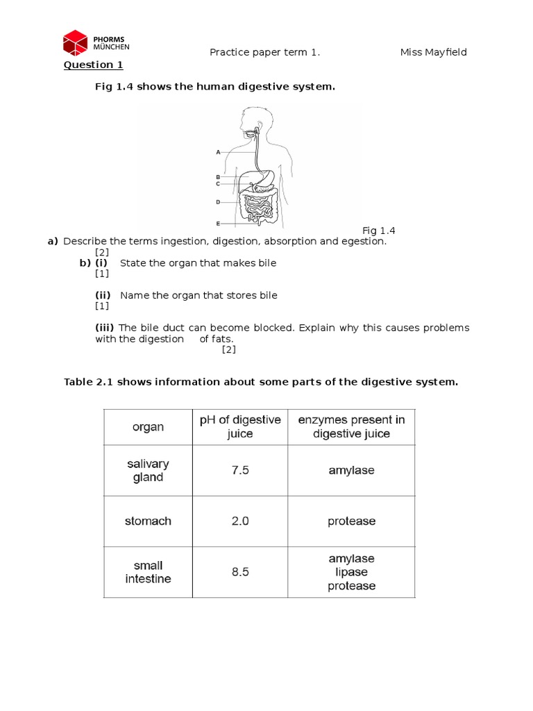 Practice Test 2016 Term 1 Digestion Human Digestive System