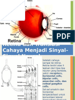 Retina Dan Translasi Sinyal-Sinyal Neural