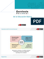 ORIENTACIONES DEL CNB.pdf