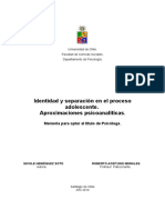 Cs-Henriquez N PDF