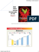 Microbial Metabolisam