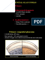 Congenital Glaucomas: 1. Primary 2. Iridocorneal Dysgenesis