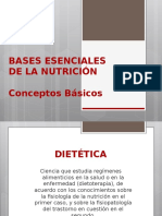 Bases Esenciales Nutricion