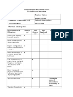 Developmental Project Observation 2