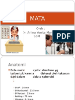 Anatomi Mata 2003