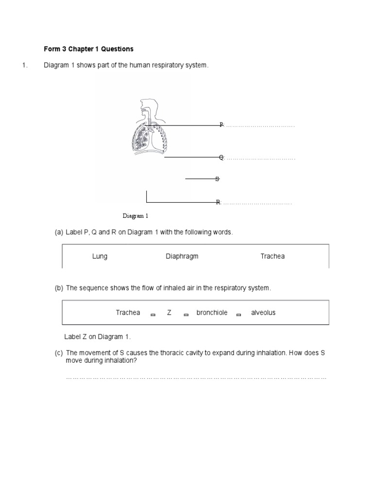 Math Form 3 Chapter 1
