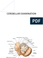05Examination of the Cerebellum