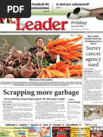 Download Friday June 18 2010 Leader by SurreyNorth Delta Leader SN33254339 doc pdf