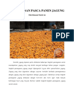 Penanganan Pasca Panen Jagung PDF