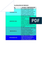 Valoración Del Riesgo PDF