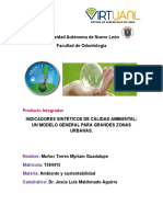 INDICADORES-SINTÉTICOS-DE-CALIDAD-AMBIENTAL-pia-ambiente.docx