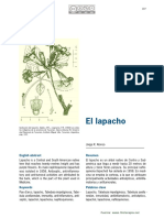 RDF1 2 Lapacho PDF