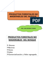 Clase 12. PFNM Gomas, Resinas, Ceras PDF