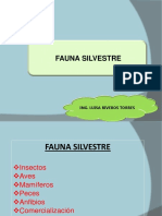 Clase 17. Fauna Silvestre - Insectos, Aves y Mamiferos PDF