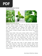 Download Berbagai Khasiat Daun by chemical_oil SN33258425 doc pdf