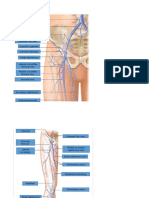 Imagenes Anatomicas-Contestado