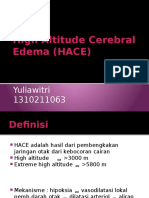 High Altitude Cerebral Edema (HACE)