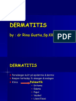 dermatitis baru dr Rina.ppt