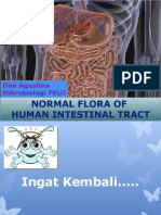 normal flora of GI.2015.pptx