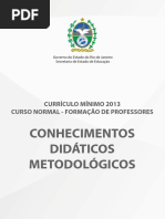 Conhecimentos Didáticos Metodológicos_livro