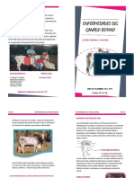 REVISTA Digital Bovino PDF